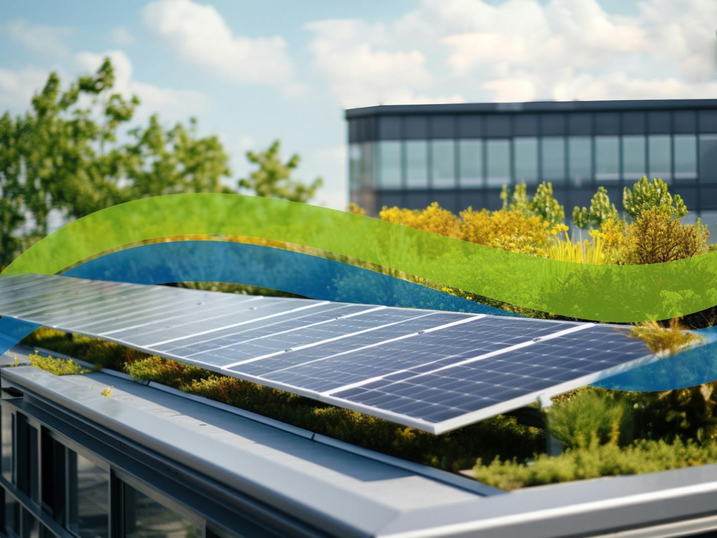 Solarmodule auf den Dächern unserer Produktion